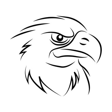 eagle head line art. wild animal. logo design.