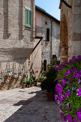 Umbria - Spello e le sue antiche e fantastiche stradine fiorite © Biagio