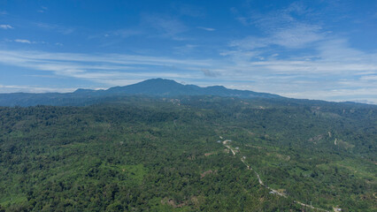 Fototapeta na wymiar Tropical forest mountains in the province of Aceh, Indonesia