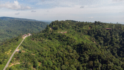 Tropical forest in Aceh Province, Indonesia