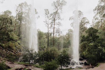Paradise Falls, waterfall located in Cheshunt, Victoria. 