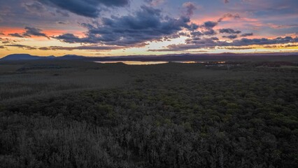 Aerial shot of the forest surrounding the Port Macquarie town at sunset in Australia
