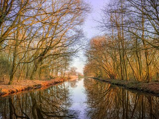 Calm river with reflections of trees