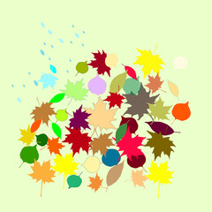 Obraz premium autumn leaves colorful vector autumn season sunny