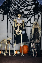 Fototapeta na wymiar Outdoor Halloween decorations. Skeletons, pumpkins, spider and web.