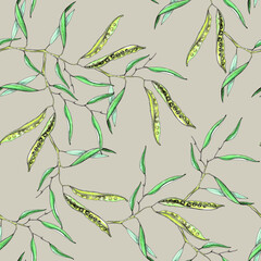 Flowering canola, canola seed pod, canola beans in seamless pattern