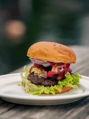 Closeup of delicious burger on plate