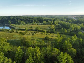 Obraz premium Aerial view of greenery field surrounded by dense trees and water