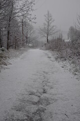Snowfall in a small village in Basilicata in winter 2017