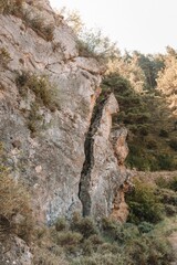 Rocky cliff with wild grass with sunlight, vertical shot