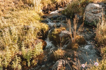 Landscape of stones on wild grass in the ground with sunlight