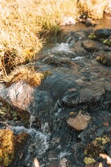 Closeup shot of stones on wild grass in the ground with sunlight, vertical shot