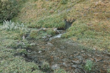 Land with wild grass ground under green hills outdoors