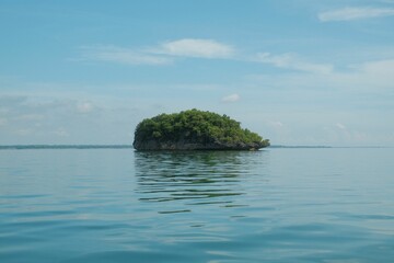 View of an island with green vegetation against the background of the blue sky.