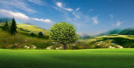 Fototapeta na wymiar flowers and mountain on blue cloudy sky wild field trees and grass beautiful nature landscape