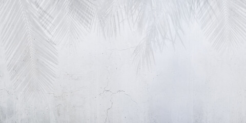 Shadows of coconut leaves on concrete wall for abstract background, wallpaper background, grunge cement wall, concrete texture, leaves shadows. 
