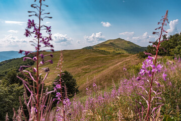 Panorama in Bieszczady Mountains in Poland