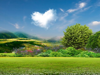 flowers and mountain on blue cloudy  sky wild field  trees and grass beautiful nature landscape
