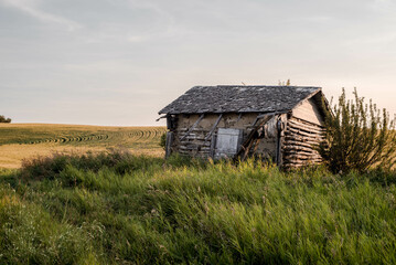 Obraz premium Old Saskatchewan Homestead