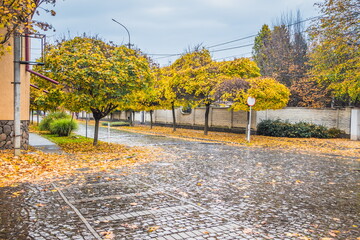 Pavement road in a small cozy town in autumn after rain. Yellow leaves and trees in autumn. Picturesque European street in a small town with beautiful old houses and paving stones. Mukachevo. Ukraine.