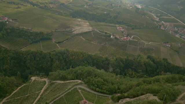 View over the italian vineyards landscape during harvest aerial shot with drone