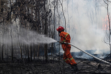 Firefighter  battle a wildfire because climate change and global warming is a driver of global...