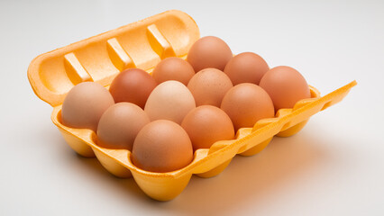 bandeja de ovos de galinha em um fundo branco