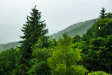rain in nature focus on the drops