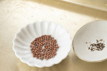 小皿に入ったかいわれ大根の種