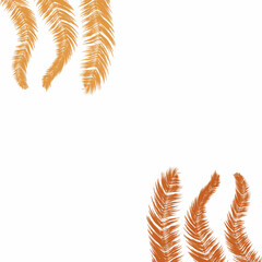 background with wheat a feather