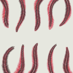 set of red and white spiral a feather