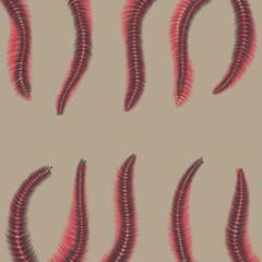 set of red and black and white spiral a feather