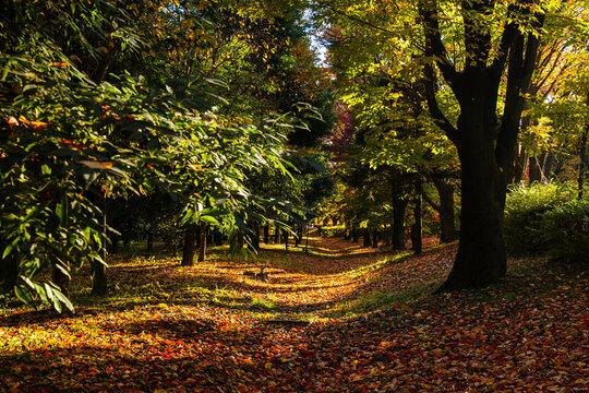 Lubrikation Bilder Durchsuchen 562 Archivfotos, und