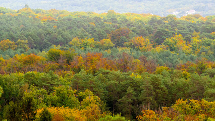 Obraz premium Fontainebleau during fall