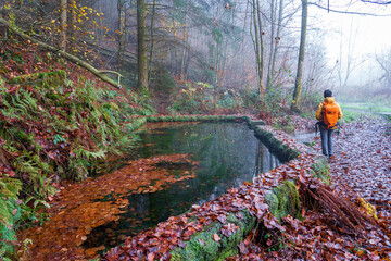 Bei Trippstadt- Karlstalschlucht-Pfalz im Herbst