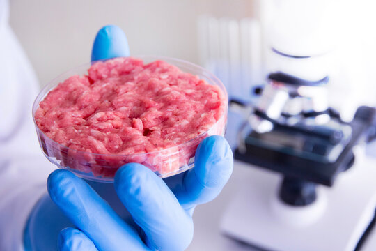 carne in vitro, laboratorio, carne coltivata