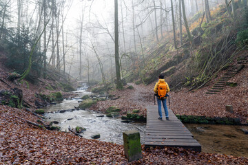 Bei Trippstadt- Karlstalschlucht-Pfalz im Herbst