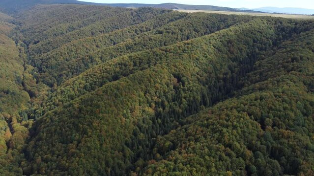 The mountains of the Sovata resort area - Romania