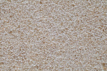 Background, structure of stone from sedimentary beige rocks shell rock close-up