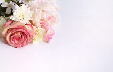 Bouquet with roses on a white background. Pink roses in a delicate floral arrangement. Background for a greeting card.