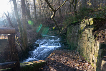 Bei Trippstadt- Kahrlstalschlucht-Pfalz im Herbst