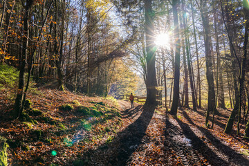 Bei Trippstadt- Karlstalschlucht-Pfalz im Herbst
