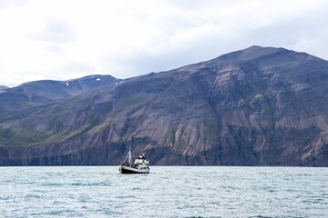 Cruise ship sailing on a body of water against rocky mountains