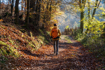 Obraz premium Bei Trippstadt- Karlstalschlucht-Pfalz im Herbst