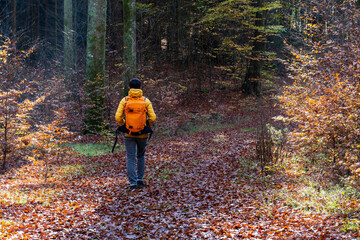 Bei Trippstadt- Karlstalschlucht-Pfalz im Herbst