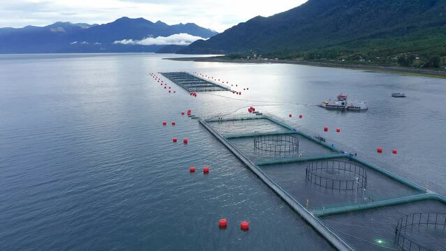 Aerial of salmon farming net cages on the sea with the background of green hills in Patagonia, Chile