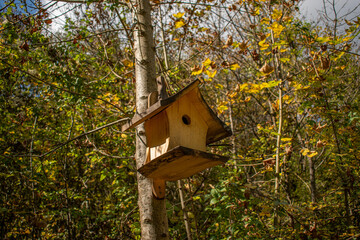 wooden bird house
