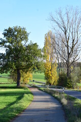 Fototapeta na wymiar gewundene Eifelstrasse im Herbst