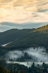 Vertical shot of a landscape with clouds over the fir forest trees at sunset