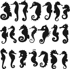 Editable set of illustrated silhouettes of seahorses on a white background